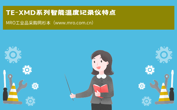TE-XMD系列智能温度记录仪特点