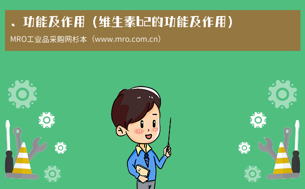 、功能及作用（维生素b2的功能及作用）