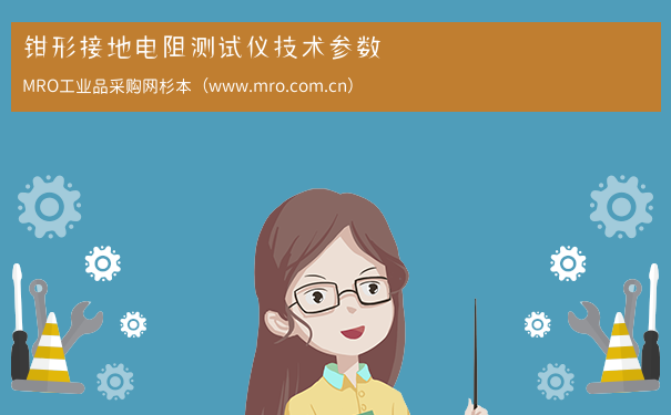 钳形接地电阻测试仪技术参数