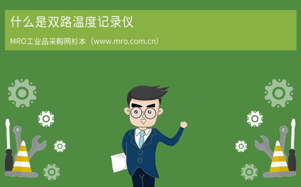 什么是双路温度记录仪