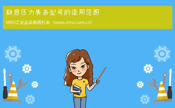数显压力表各型号的适用范围