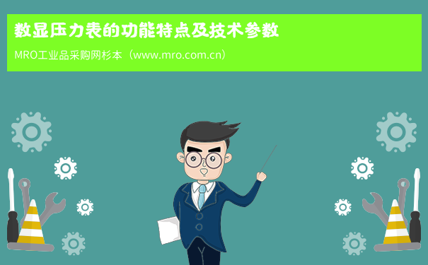 数显压力表的功能特点及技术参数