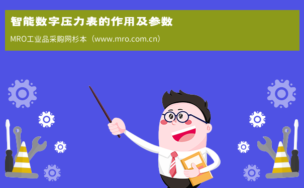 智能数字压力表的作用及参数