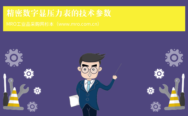 精密数字显压力表的技术参数