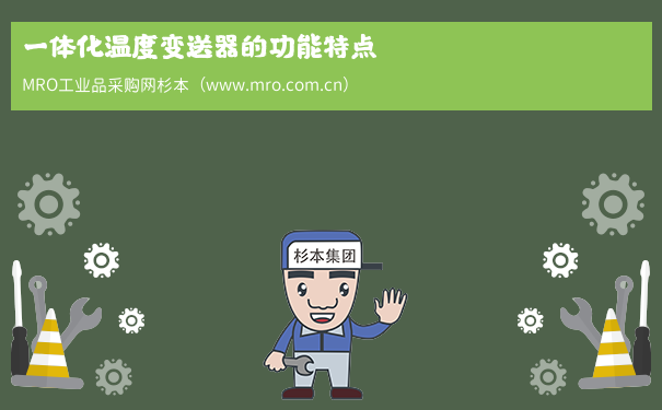 一体化温度变送器的功能特点