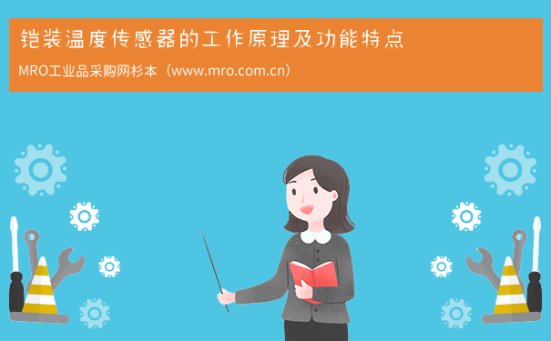铠装温度传感器的工作原理及功能特点