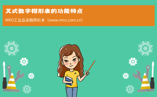 叉式数字钳形表的功能特点
