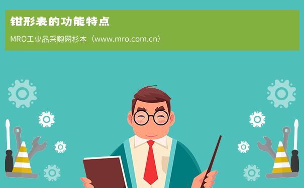 钳形表的功能特点