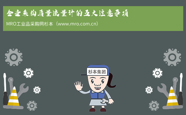 企业采购质量流量计的五大注意事项