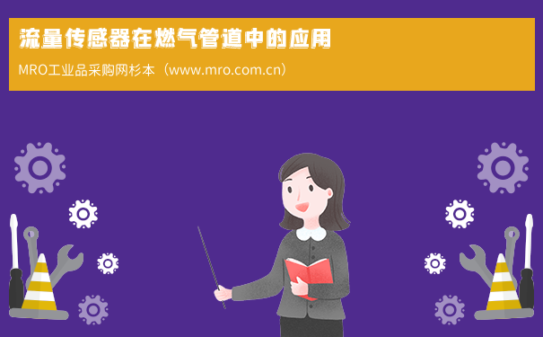 流量传感器在燃气管道中的应用