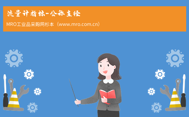 流量计指标-公称直径