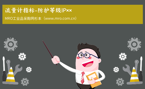 流量计指标-防护等级IP××