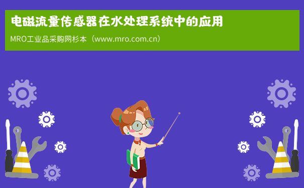 电磁流量传感器在水处理系统中的应用