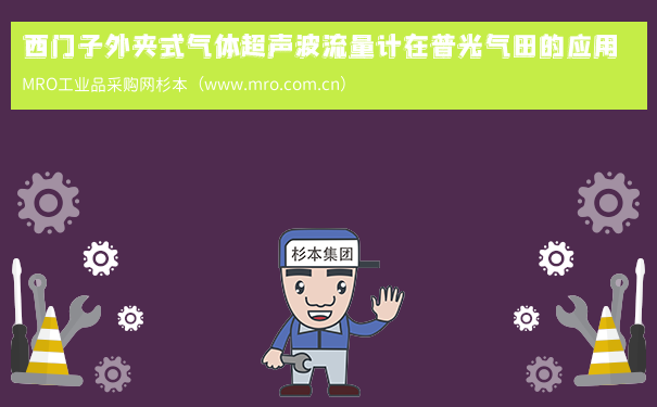 西门子外夹式气体超声波流量计在普光气田的应用
