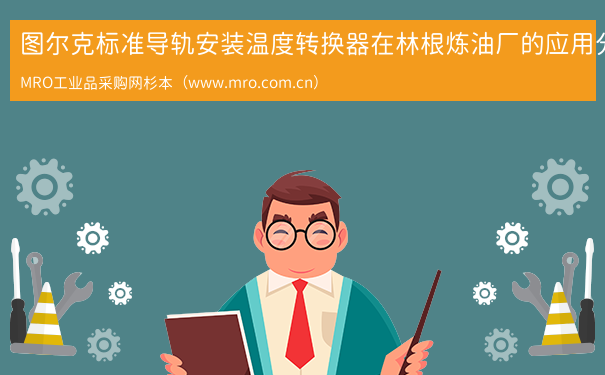 图尔克标准导轨安装温度转换器在林根炼油厂的应用分析