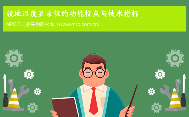 就地温度显示仪的功能特点与技术指标