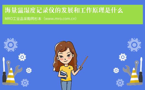 海量温湿度记录仪的发展和工作原理是什么