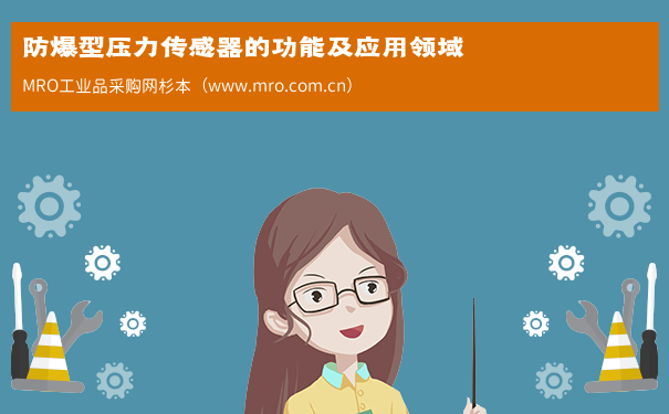 防爆型压力传感器的功能及应用领域