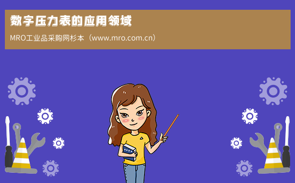 数字压力表的应用领域