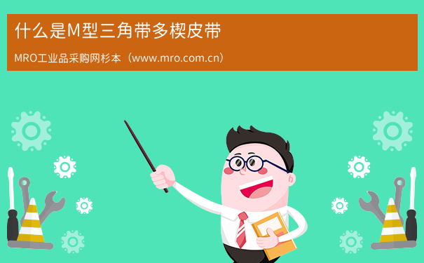 什么是M型三角带多楔皮带