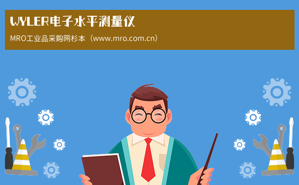 WYLER电子水平测量仪