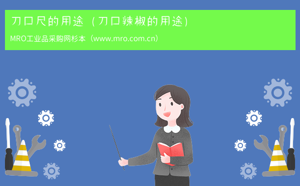 刀口尺的用途（刀口辣椒的用途）