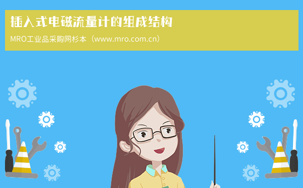 插入式电磁流量计的组成结构