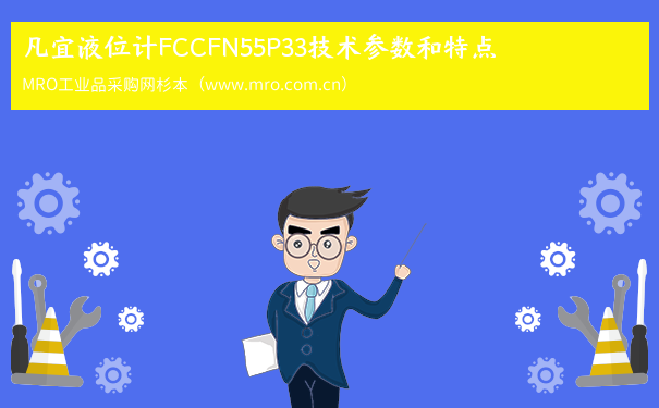 凡宜液位计FCCFN55P33技术参数和特点