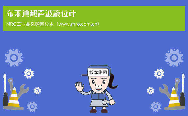 布莱迪超声波液位计