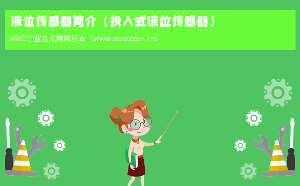 液位传感器简介（投入式液位传感器）