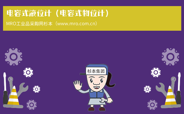 电容式液位计（电容式物位计）