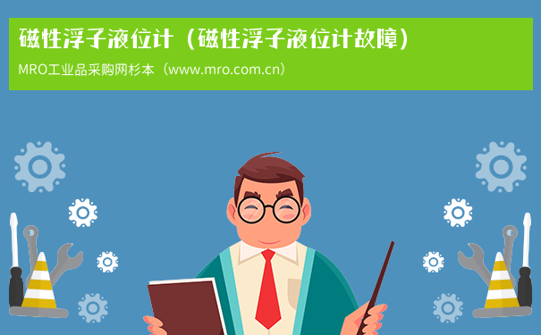 磁性浮子液位计（磁性浮子液位计故障）
