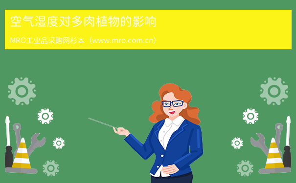 空气湿度对多肉植物的影响