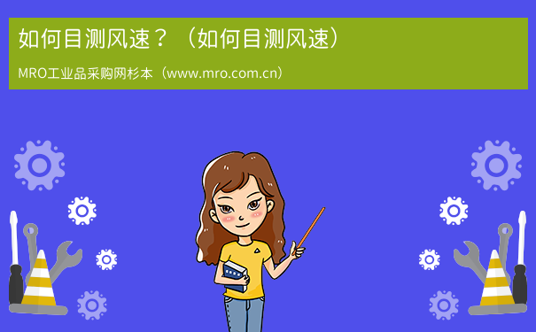 如何目测风速？（如何目测风速）