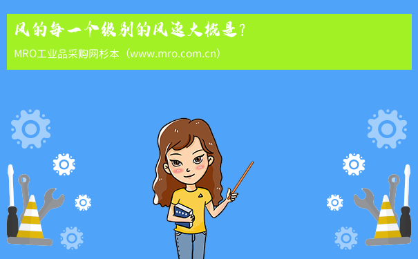 风的每一个级别的风速大概是？