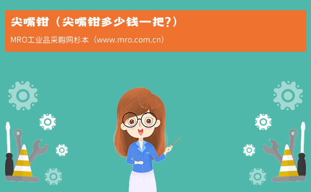 尖嘴钳（尖嘴钳多少钱一把?）
