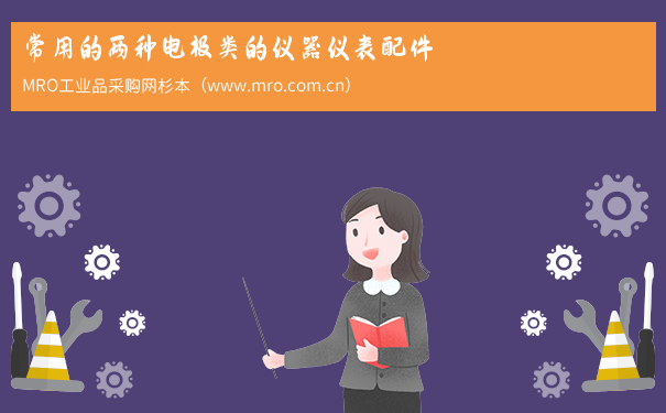 常用的两种电极类的仪器仪表配件
