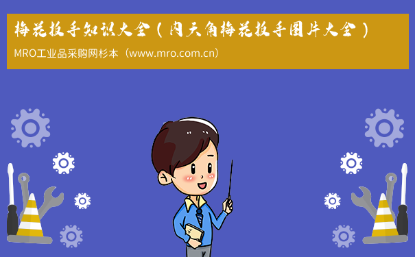 梅花扳手知识大全（内六角梅花扳手图片大全）