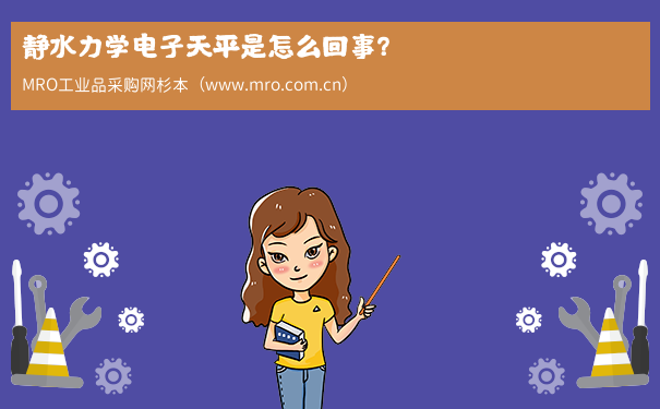 静水力学电子天平是怎么回事？