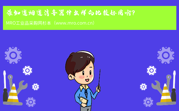 谁知道烟道消音器什么样的比较好用啊？
