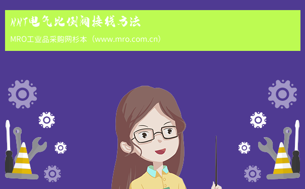 NNT电气比例阀接线方法