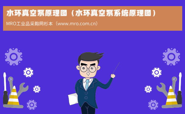 水环真空泵原理图（水环真空泵系统原理图）