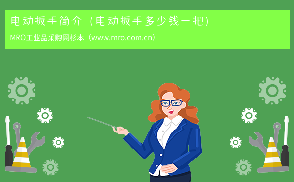 电动扳手简介（电动扳手多少钱一把）
